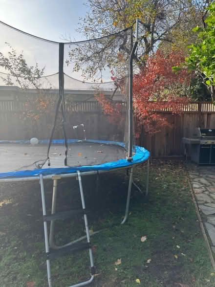 Photo of free Trampoline (South Palo Alto) #1