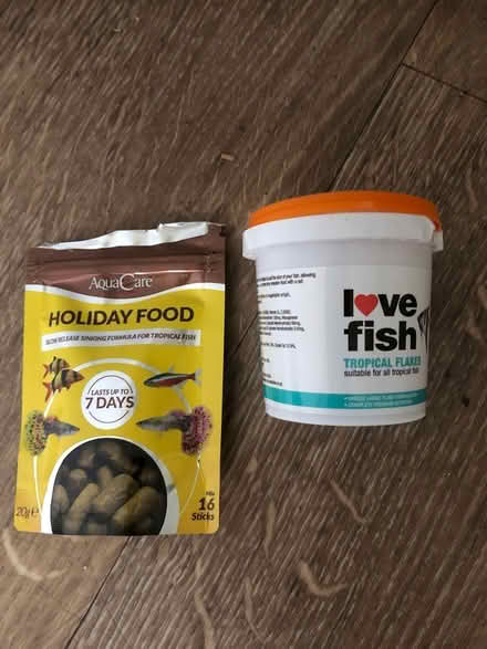 Photo of free Tropical fish food (Malvern Link WR14) #1