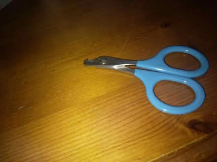 Photo of free Pet nail clippers (Kirkstall LS5) #1