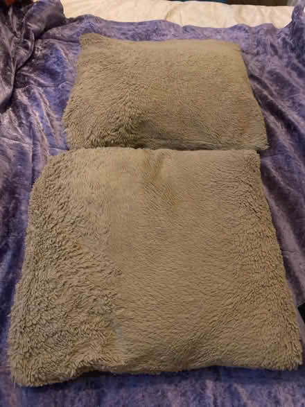 Photo of free Cushions (Nottingham NG5) #1