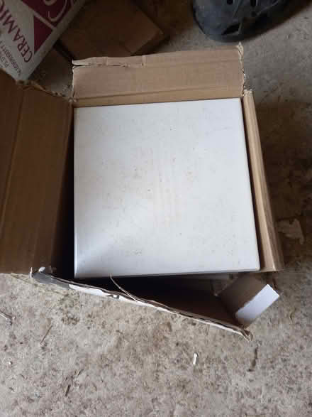 Photo of free White glazed wall tiles (Craig-y-don LL30) #1
