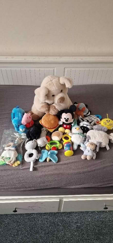 Photo of free Soft toys (Walthamstow E17) #1