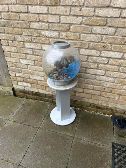 Photo of free Fish tank (Waltham cross) #1