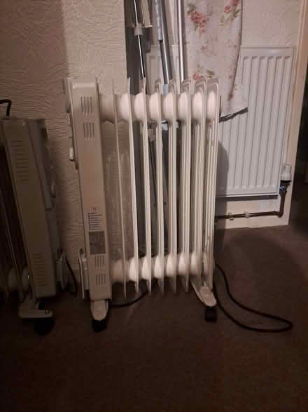 Photo of free Free Standing Electric Radiator (Esh Winning DH7) #1