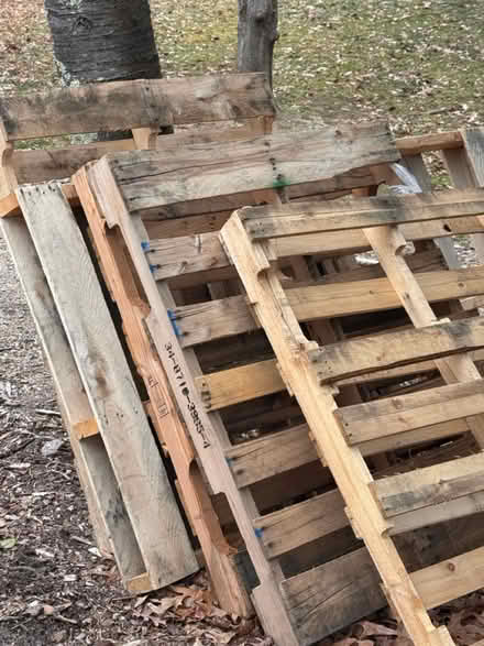 Photo of free Wood palates (Severna park md) #1