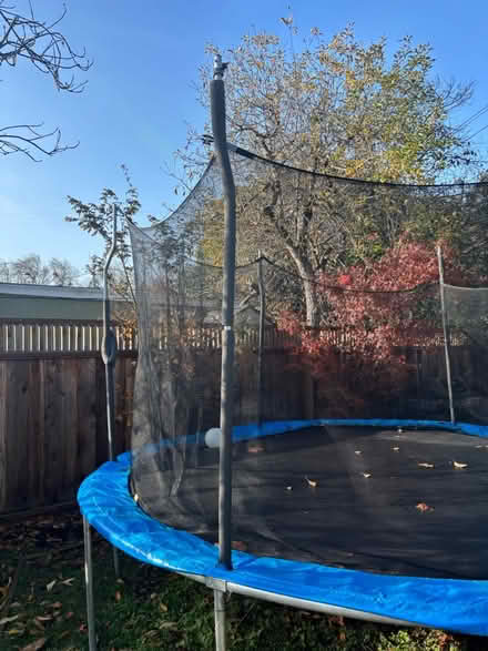 Photo of free Trampoline (South Palo Alto) #2