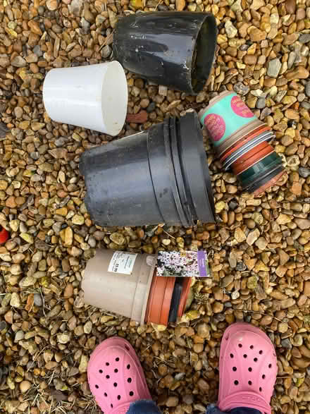 Photo of free carrier bag of plastic flower pots various sizes (Lochend EH6) #1