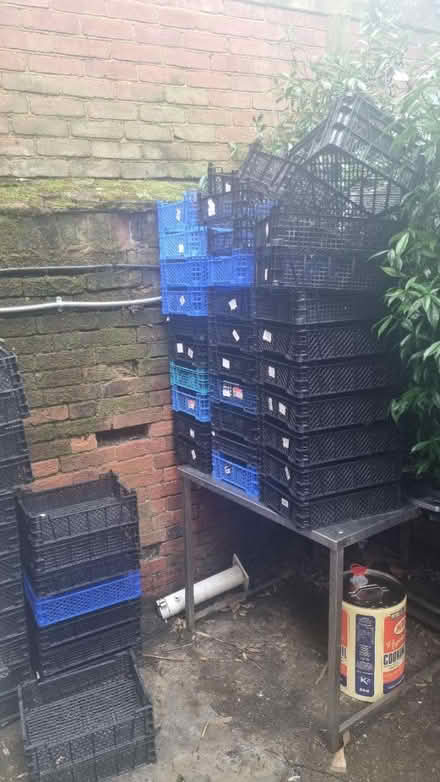 Photo of free Plastic Crates (TN30) #1