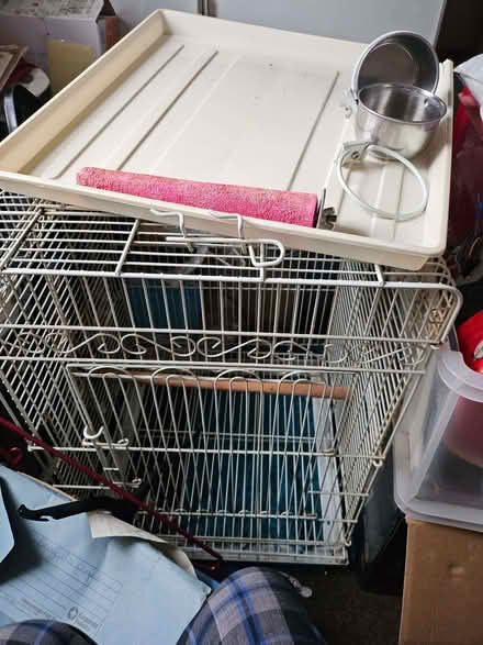 Photo of free Parrot cage (Hanover BN2) #1