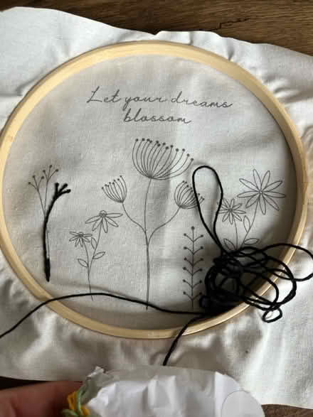 Photo of free Embroidery kit (Toton) #2