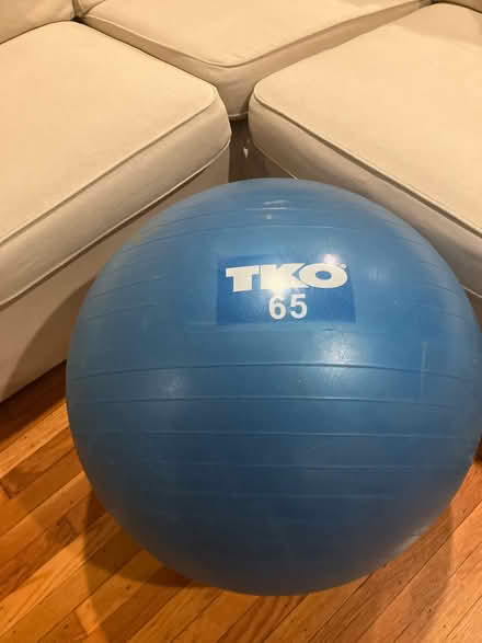 Photo of free Exercise ball (Havertown) #1