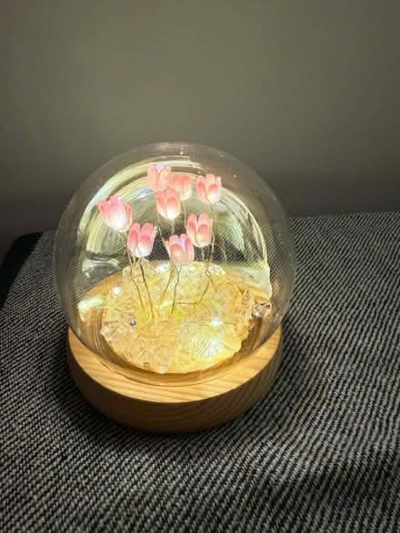 Photo of free Decorative glass lamp with tulips (Five Mile Drive OX2) #3