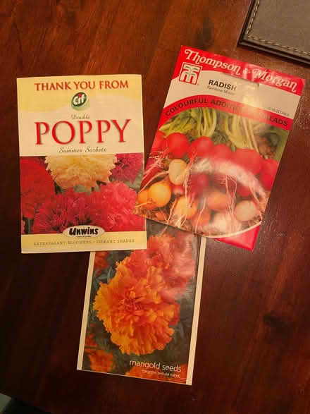 Photo of free Plant pots, watering can & seeds (Wheatley HX2) #2