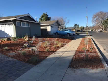 Photo of free Wire cages for plants (San Tomas Aquino & Campbell) #1