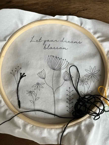 Photo of free Embroidery kit (Toton) #1