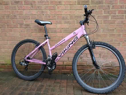 Photo of free Girls bike 12+ (Great Linford MK14) #1