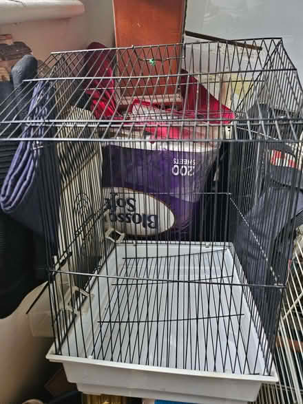 Photo of free Budgie cage (Hanover BN2) #1