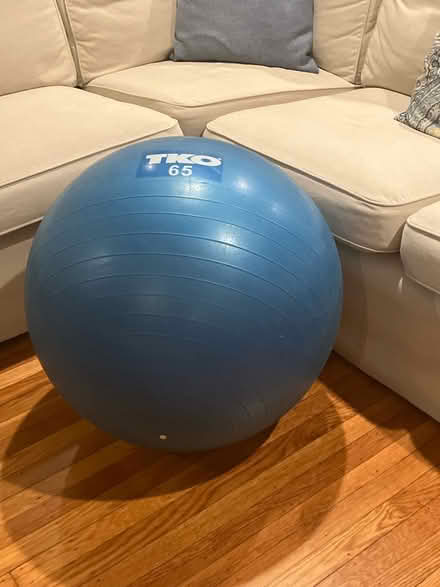 Photo of free Exercise ball (Havertown) #2