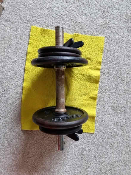 Photo of free 9kg dumbell (Bathwick) #2