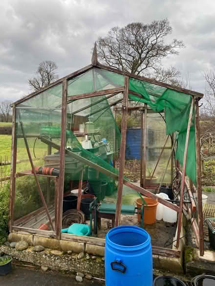 Photo of free Greenhouse (Penyffordd CH4) #4