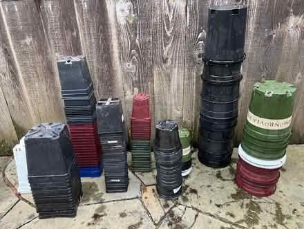 Photo of free Plant Containers (Wedgwood) #1