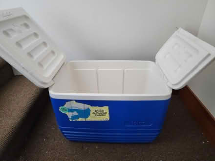 Photo of free Igloo cooler (Central District/Madrona) #1