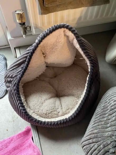 Photo of free Cat/dod bed (2nd one) (Batheaston) #1