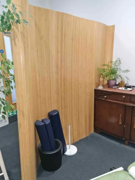 Photo of free Screen / room divider / make a wall look pretty (Taunton Eastgate District Ward TA1) #1