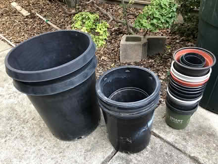 Photo of free Nursery plant pots (Saranap area of Walnut Creek) #1