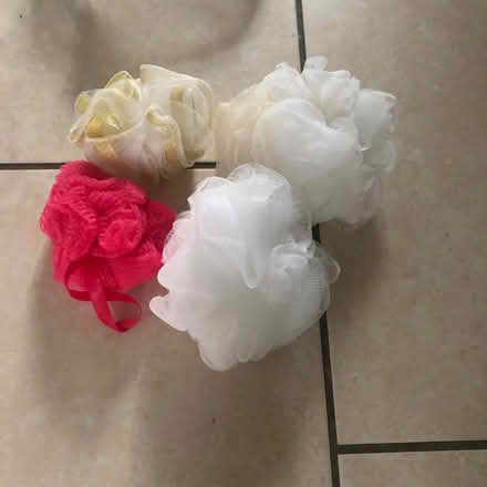 Photo of free Shower puffs (Westbury Wilts BA13) #1