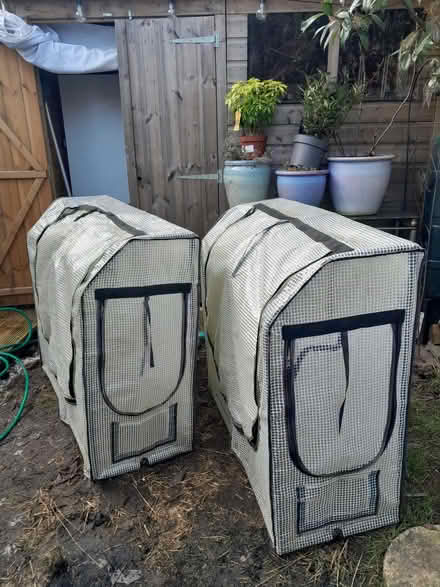 Photo of free Cold frame covers for Wallhugger raised bedx2 (Bishopton Hamlet CV37) #2