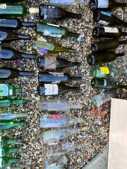 Photo of free Colorful wine bottles for projects (Lake Balboa (W Van Nuys) 91406) #4