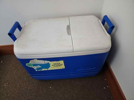 Photo of free Igloo cooler (Central District/Madrona) #2