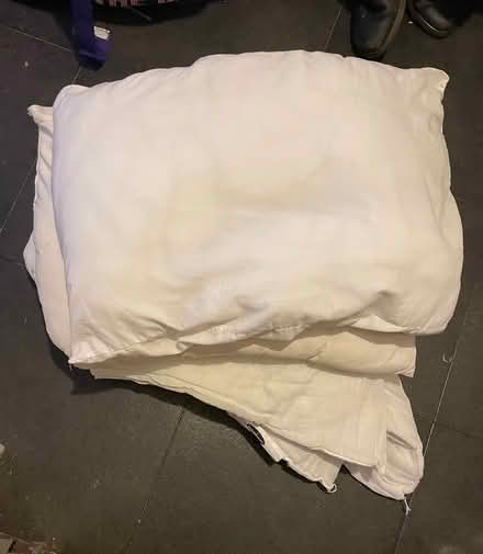 Photo of free Single quilt and 2 pillows (M9 Harpurhey) #1