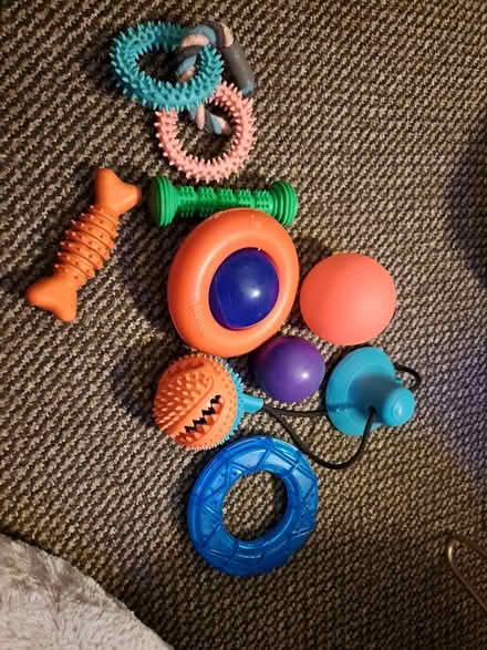 Photo of free Pet toys (Bolton le Sands LA5) #1