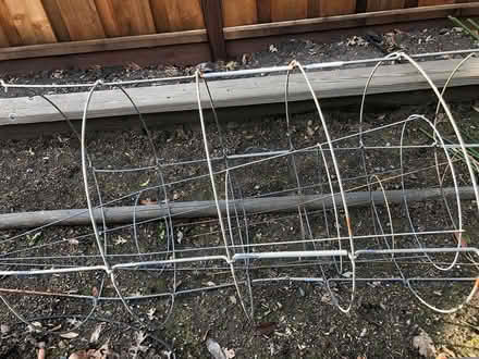 Photo of free Tomato cages (Saranap area of Walnut Creek) #1