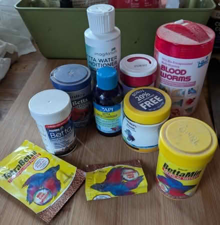 Photo of free Betta fish supplies (Shoreline near 185th) #1