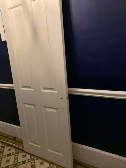 Photo of free Internal Door (Alexandra Palace N22) #1