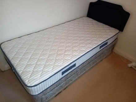 Photo of free Single bed with tuckaway bed (Torquay) #1