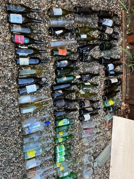 Photo of free Colorful wine bottles for projects (Lake Balboa (W Van Nuys) 91406) #2