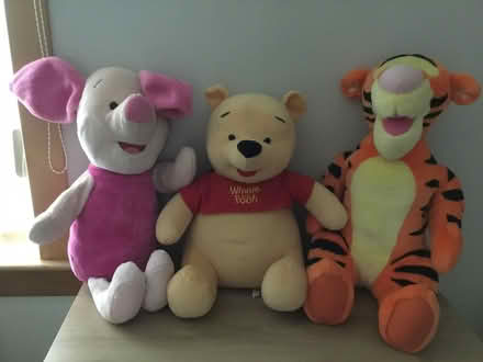 Photo of free Large Soft Teddies (Glenrothes KY7) #1