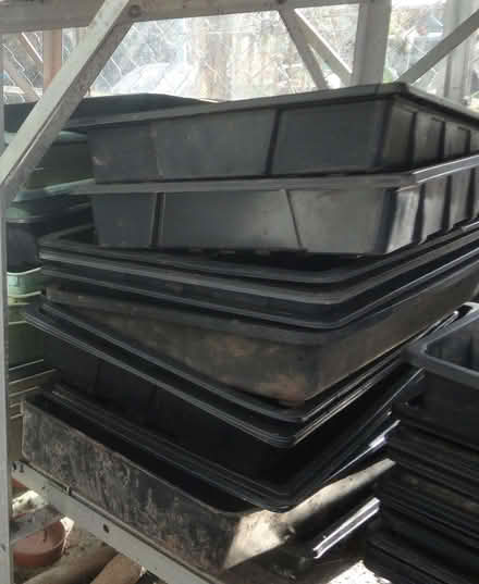 Photo of free Bundle of Seed Trays (Summer Hill NP19) #1