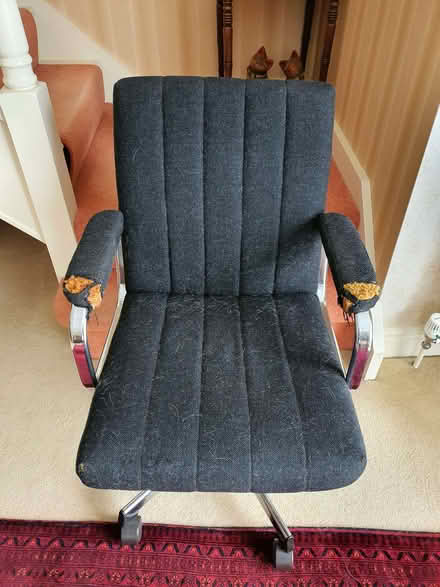 Photo of free chair (Mundon CM9) #1