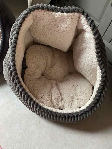 Photo of free Cat/Dog bed (1st one) (Batheaston) #1