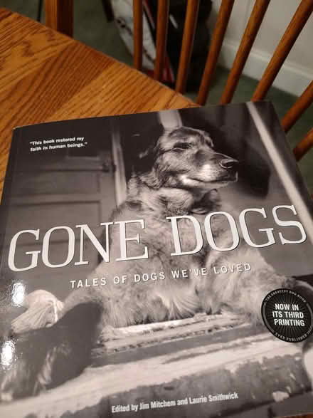 Photo of free Dog stories (Odenton) #1