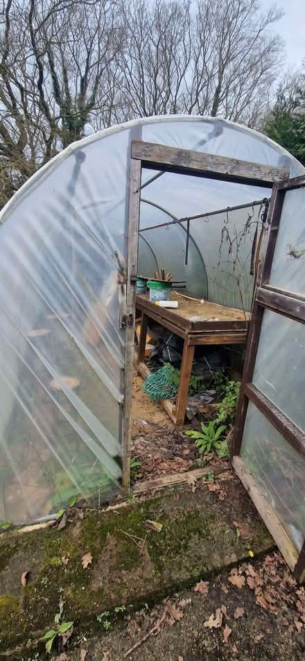 Photo of free Poly tunnel (White Colne CO6) #4