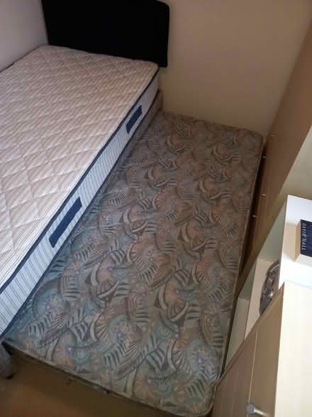 Photo of free Single bed with tuckaway bed (Torquay) #3