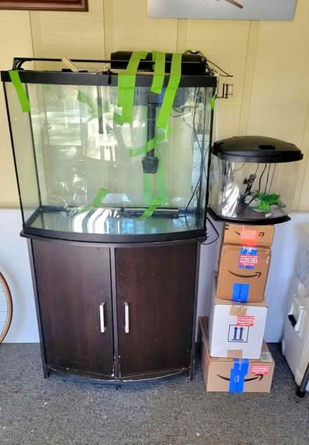 Photo of free 32 gal curved front aquarium setup (Marietta, GA) #1