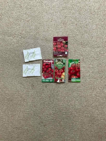 Photo of free tomato seeds (out of date) (Leckhampton GL53) #1