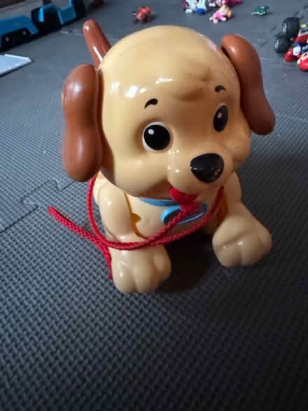 Photo of free pull along dog toy (GL3) #1